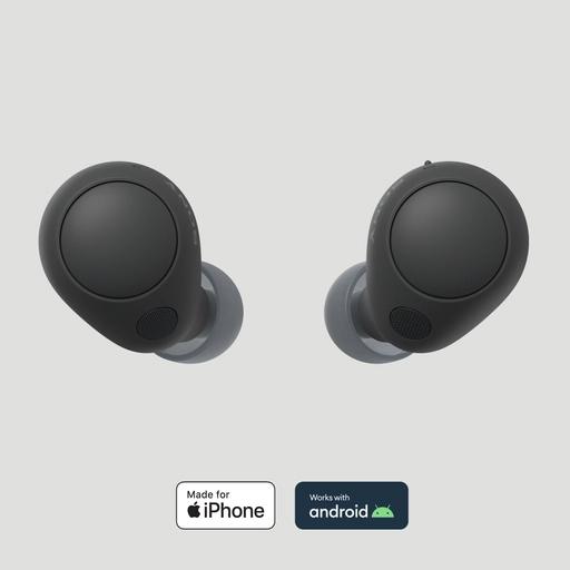 Sony B earphones