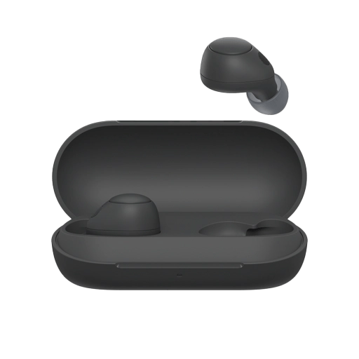Sony B earphones